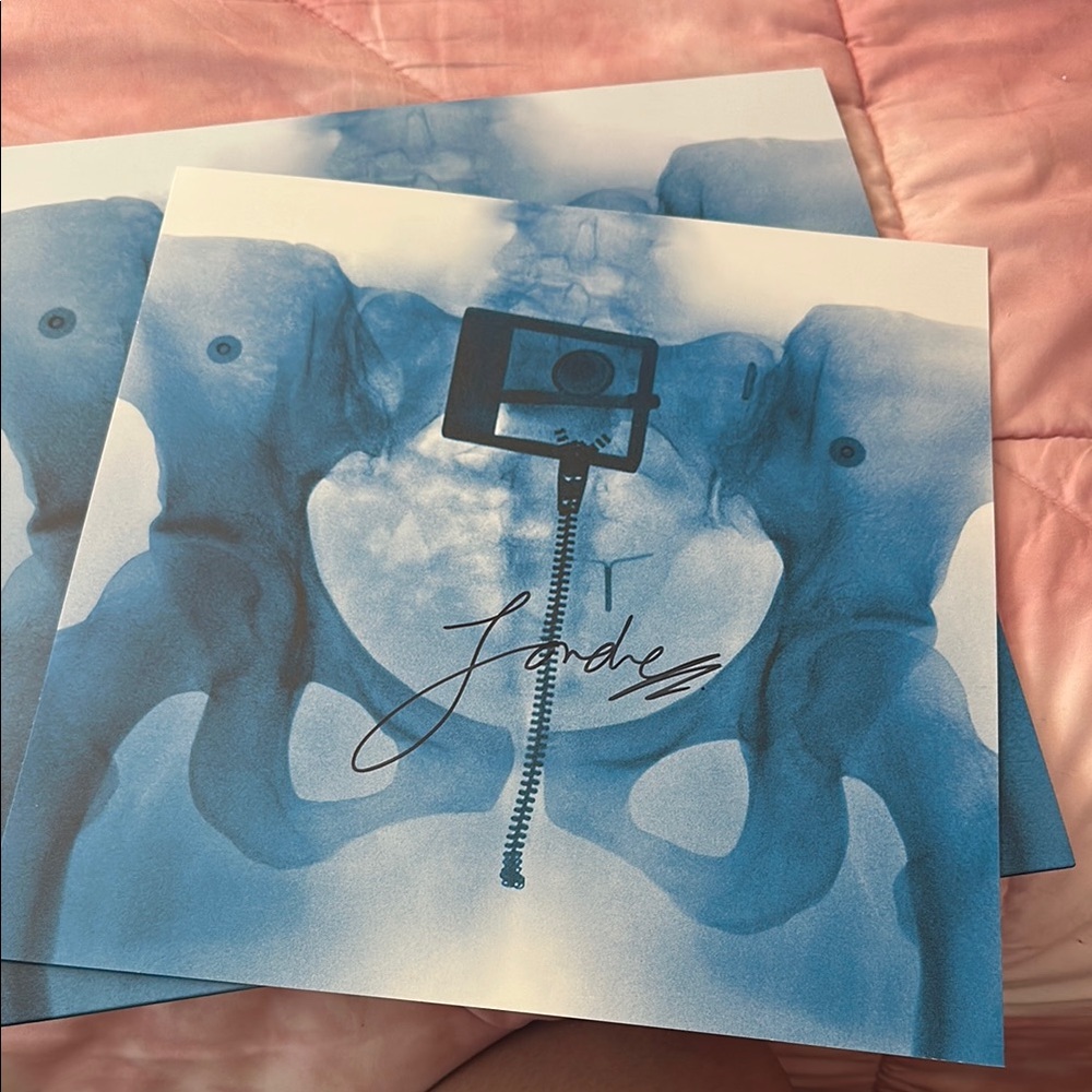 Lorde Virgin Vinyl Record Signed
